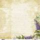 COLECCION PAPEL SCRAP ELEGANCE 10 HOJAS
