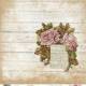 COLECCION PAPEL SCRAP ELEGANCE 10 HOJAS