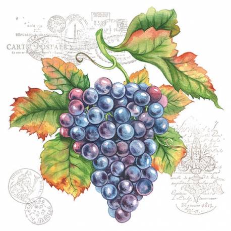 Servilletas 33x33 cm - Grape Vine