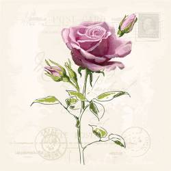 Servilletas 33x33 cm - Vintage Rose
