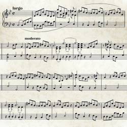 Servilletas 33x33 cm - Sheet Music