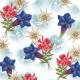 Servilletas 33x33 cm. Alpine Flowers
