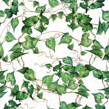 Servilletas 33x33 cm. Grean Ivy Branches