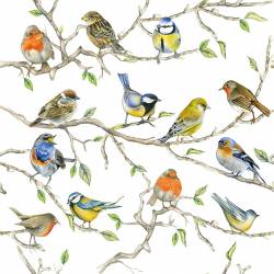 Servilletas 33x33 cm - Birds Meeting