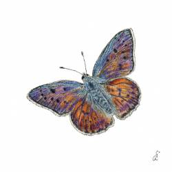 Servilletas 33x33 cm - Papillon