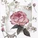 Servilletas 33x33 cm - Enchanting Rose Vintage