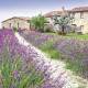 Servilletas 33x33 cm - Lavender Farm
