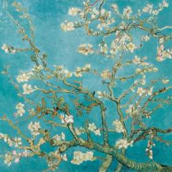 Servilleta Decoupage 33x33 cm - Almond Blossom