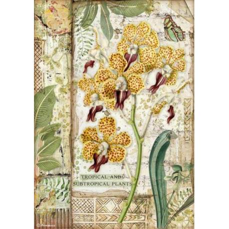 Papel Arroz Stamperia 21x29,7