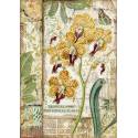 Papel Arroz Stamperia 21x29,7