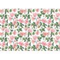 TELA ENCUADERNAR 70X50 PAPERS FOR YOU