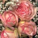 Servilleta Decoupage 33x33 Rosas