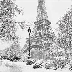 Servilleta 33x33 Winter Paris