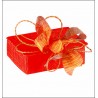Caja Solapa